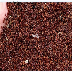 19usd ngryise 500pcs  Cudrania cochin chinensis  seed