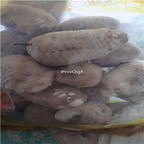 19usd ngryise 200gram  Cudrania cochin chinensis