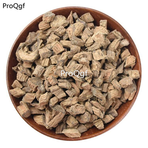 19usd ngryise 200gram Dipsacus aspe