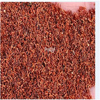 19usd ngryise 300pcs Coccoloba uvifera seed
