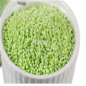 19.9usd Ngryise 300Gram A Set  green sago