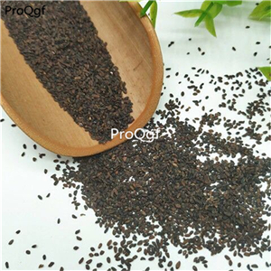 19.9usd Ngryise 6000Pcs A Set Plantago depressa seed