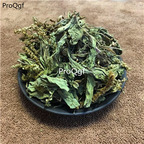 19.9usd Ngryise 200Gram A Set Plantago depressa