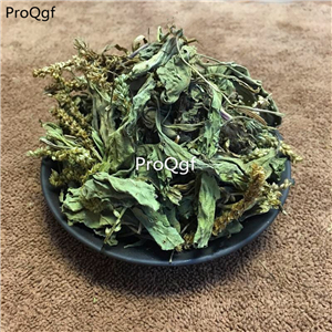 19.9usd Ngryise 200Gram A Set Plantago depressa