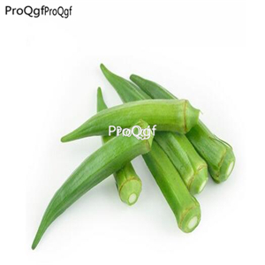 Ngryise 2000Pcs A Set Abelmoschus esculentus seed