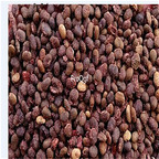 19.9usd Ngryise 5000Pcs A Set Toxicodendron succedaneum seed
