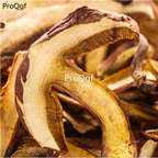 19.9usd Ngryise 300Gram A Set  Boletus  Boletus