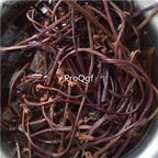 19.9usd ngryise 200gram a set Pteridium aquilinum