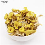 29usd ngryise 500gram  dry Cantharellus cibarius