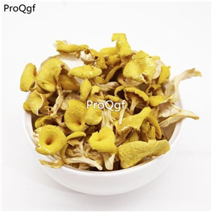 29usd ngryise 500gram  dry Cantharellus cibarius