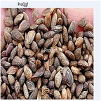 19.9usd Ngryise 500Pcs A Set Fructus Momordicae seed