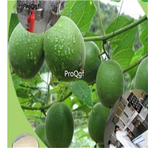 19.9usd Ngryise 500Pcs A Set Fructus Momordicae seed