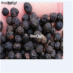 19usd ngryise 100pcs Dalbergia melanaoxylon seed