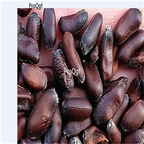 19.9usd Ngryise 100Pcs A Set Chimonanthus praecox seed