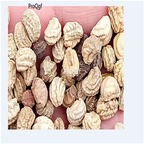 19.9usd Ngryise 200Pcs A Set Trollius chinensis seed