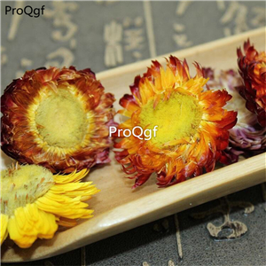 19.9usd Ngryise 200Gram A Set Helichrysum bracteatum