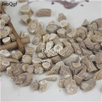 19.9usd ngryise 300gram Radix Isatis Indigotica