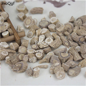 19.9usd ngryise 300gram Radix Isatis Indigotica