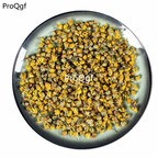 19.9usd Ngryise 200Gram A Set Dendranthema indicum