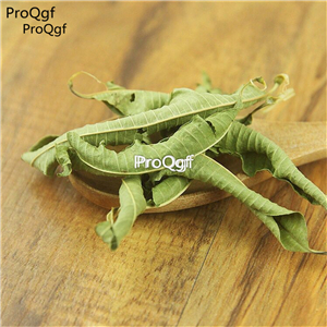 19.9usd Ngryise 200Gram A Set dry leaf Verbena officinalis