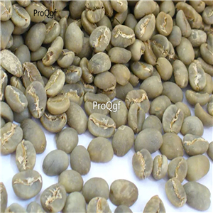 19.9usd Ngryise 50Gram A Set indonesia gayo coffee bean