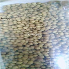 19.9usd Ngryise 200Gram A Set rare Globba racemosa