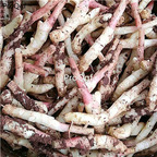 19.9usd Ngryise 10Pcs A Set   Red Ginger root