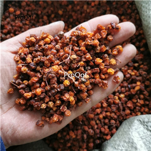 19.9usd Ngryise  250Gram A Set dry Hippophae rhamnoides