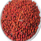 19.9usd Ngryise  200Gram A Set dry Pyracantha fortuneana