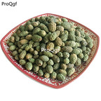 19.9usd Ngryise  50Pcs A Set capparis spinosa  seed