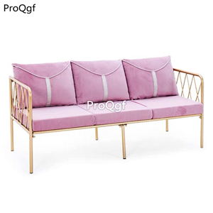 599usd Ngryise 1 Set ins fashion minshuku two or three people use sofa