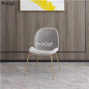 169usd Ngryise 1 Set ins fashion minshuku three series choice chair