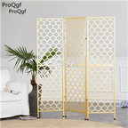 1399usd Ngryise 1 Set new series modern ins style Screen Panel Home Minshuku
