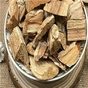 19.9usd Ngrysie 300Gram A Set Tripterygium wilfordii