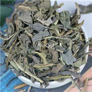 19.9usd Ngrysie 250Gram A Set radix isatidis leaf