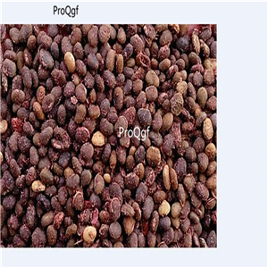 19.9usd Ngryise 2000Pcs A Set Curcuma rcenyujin seed