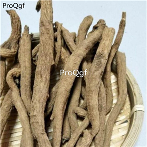 19.9usd Ngryise 250Gram A Set Dactylicapnos scandens