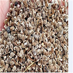 39.9usd Ngryise 500Pcs A Set Polygala japonica yuanzhi seed