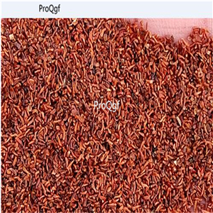 19.9usd Ngryise 1000Pcs A Set Patrinia scabiosaefolia seed