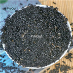 19.9usd hot Ngryise 250Gram A Set black ant