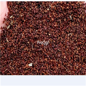 19.9usd Ngryise 500Pcs A Set  Radix Anemones Rivularis seed