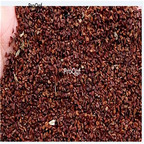 29.9usd Ngryise 500Pcs A Set  Lindera aggregata seed