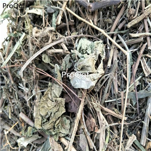 19.9usd Ngryise 250Gram A Set  Sagittaria trifolia