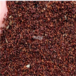 19.9usd Ngryise 500Pcs A Set Asarum sieboldii seed
