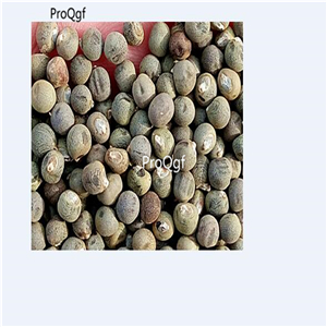 19.9usd Ngryise 500Pcs A Set Solanum nigrum seed
