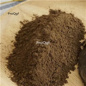 19.9usd Ngryise 250Gram A Set radix scrophulariae powder