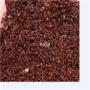 19.9usd Ngryise 500pcs A Set Rhodobryum roseum seed