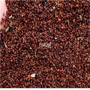 19.9usd Ngryise 500pcs A Set Eriocaulon buergerianum seed