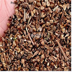 19.9usd Ngryise 500pcs A Set Andrographis paniculata seed