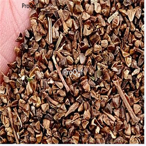 19.9usd Ngryise 500pcs A Set Andrographis paniculata seed